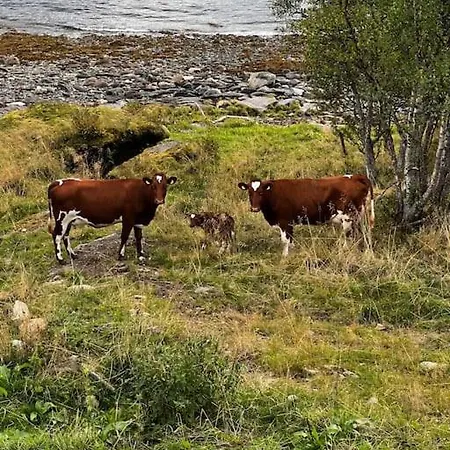 Tronderstua *
