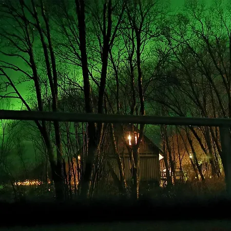 Tronderstua *