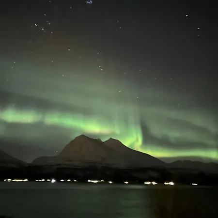 Tronderstua * Tromsø