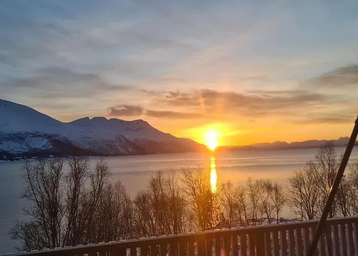 Tronderstua * Tromsø