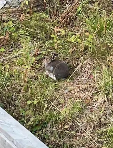 Tronderstua Tatil Evi Tromsø