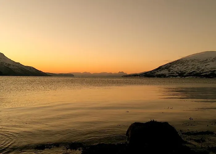 Tronderstua